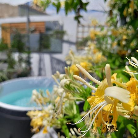 Le Petit Patio Bed & Breakfast Aigues-Mortes Bagian luar foto