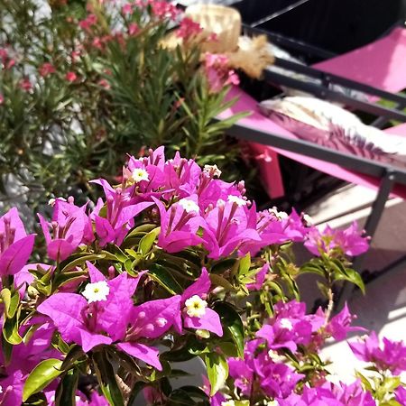 Le Petit Patio Bed & Breakfast Aigues-Mortes Bagian luar foto