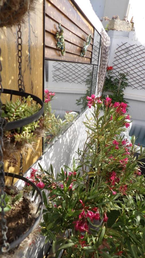 Le Petit Patio Bed & Breakfast Aigues-Mortes Bagian luar foto
