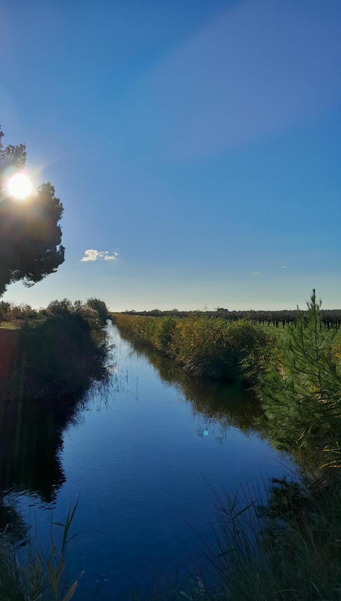 Le Petit Patio Bed & Breakfast Aigues-Mortes Bagian luar foto