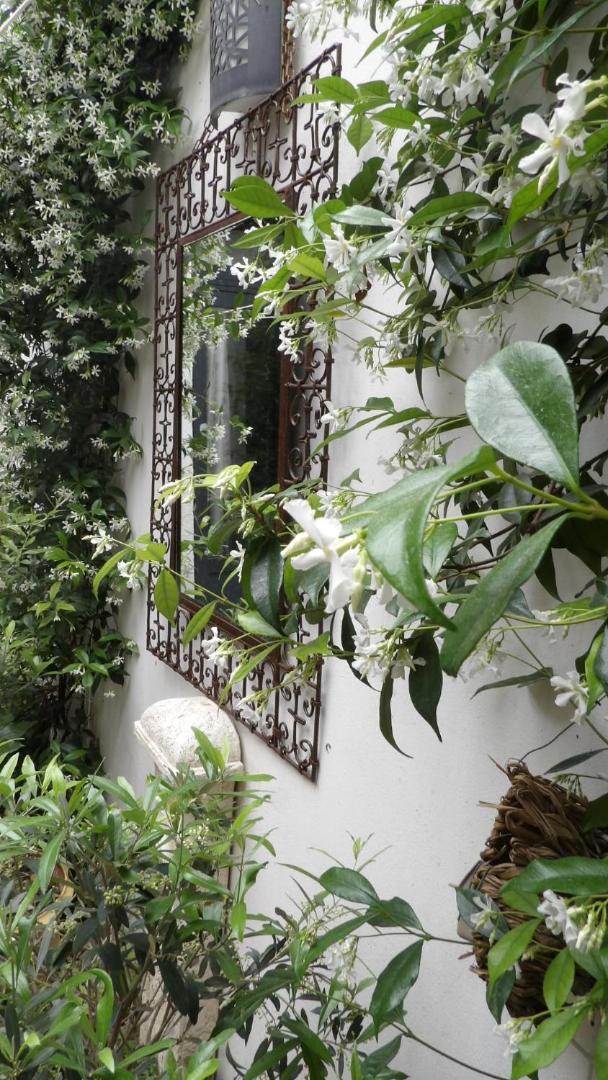 Le Petit Patio Bed & Breakfast Aigues-Mortes Bagian luar foto