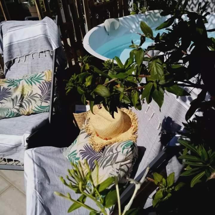 Le Petit Patio Bed & Breakfast Aigues-Mortes Bagian luar foto