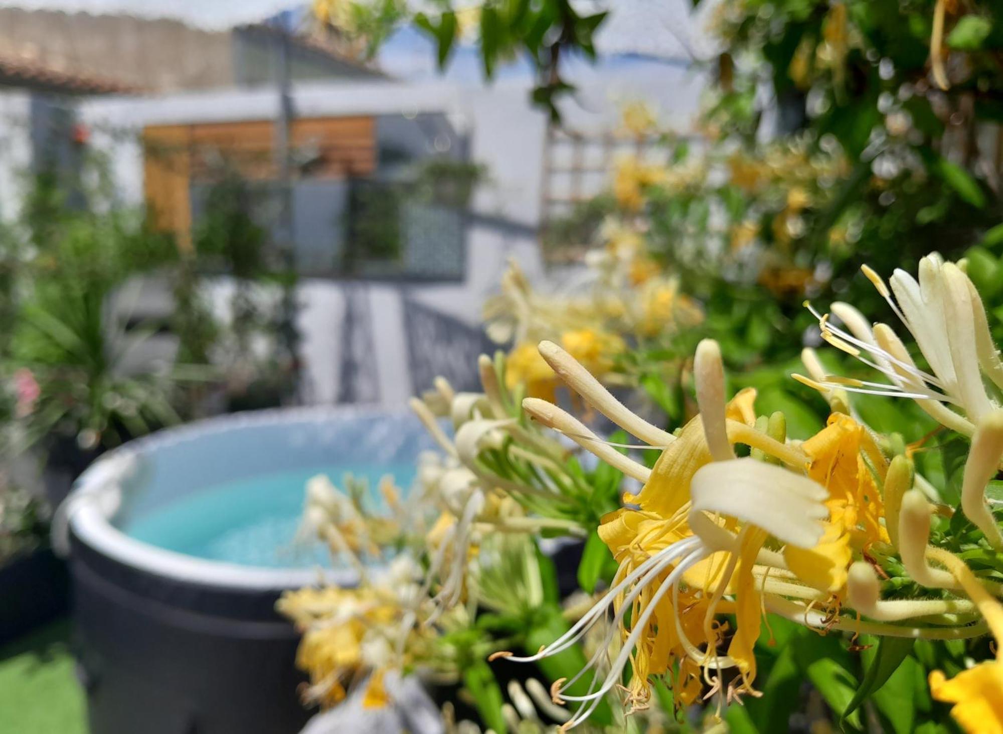 Le Petit Patio Bed & Breakfast Aigues-Mortes Bagian luar foto