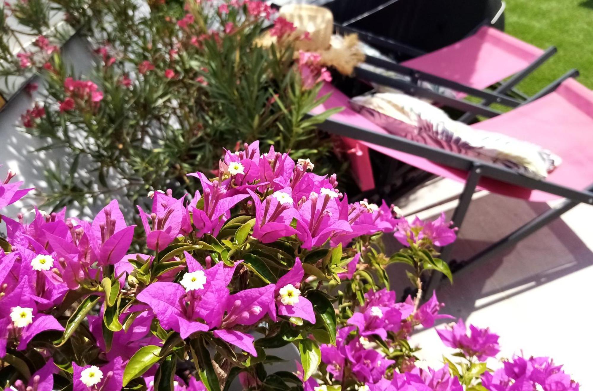 Le Petit Patio Bed & Breakfast Aigues-Mortes Bagian luar foto