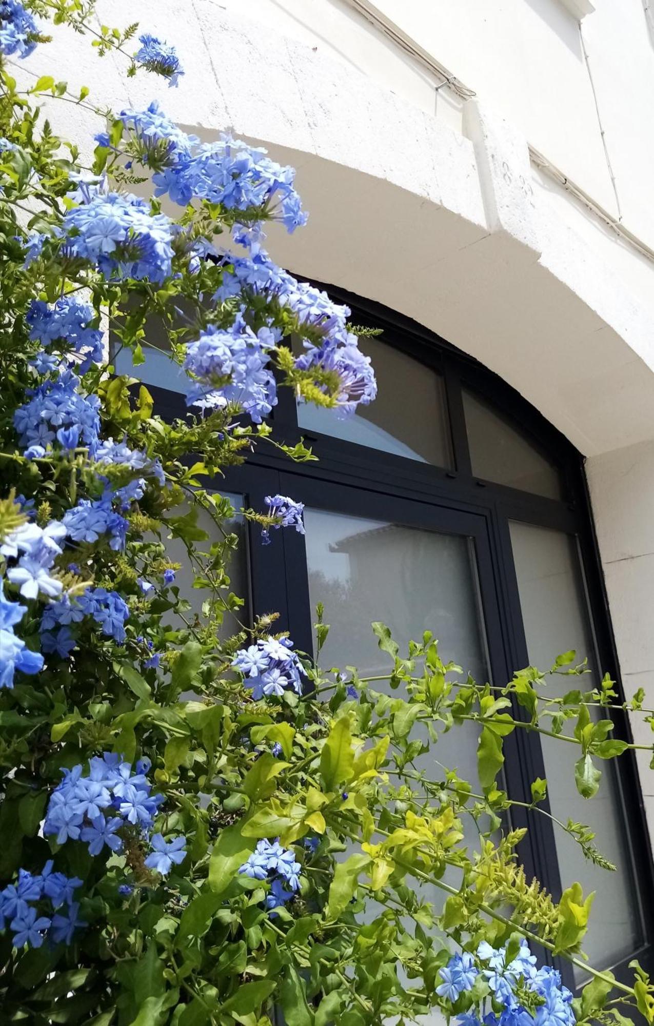 Le Petit Patio Bed & Breakfast Aigues-Mortes Bagian luar foto