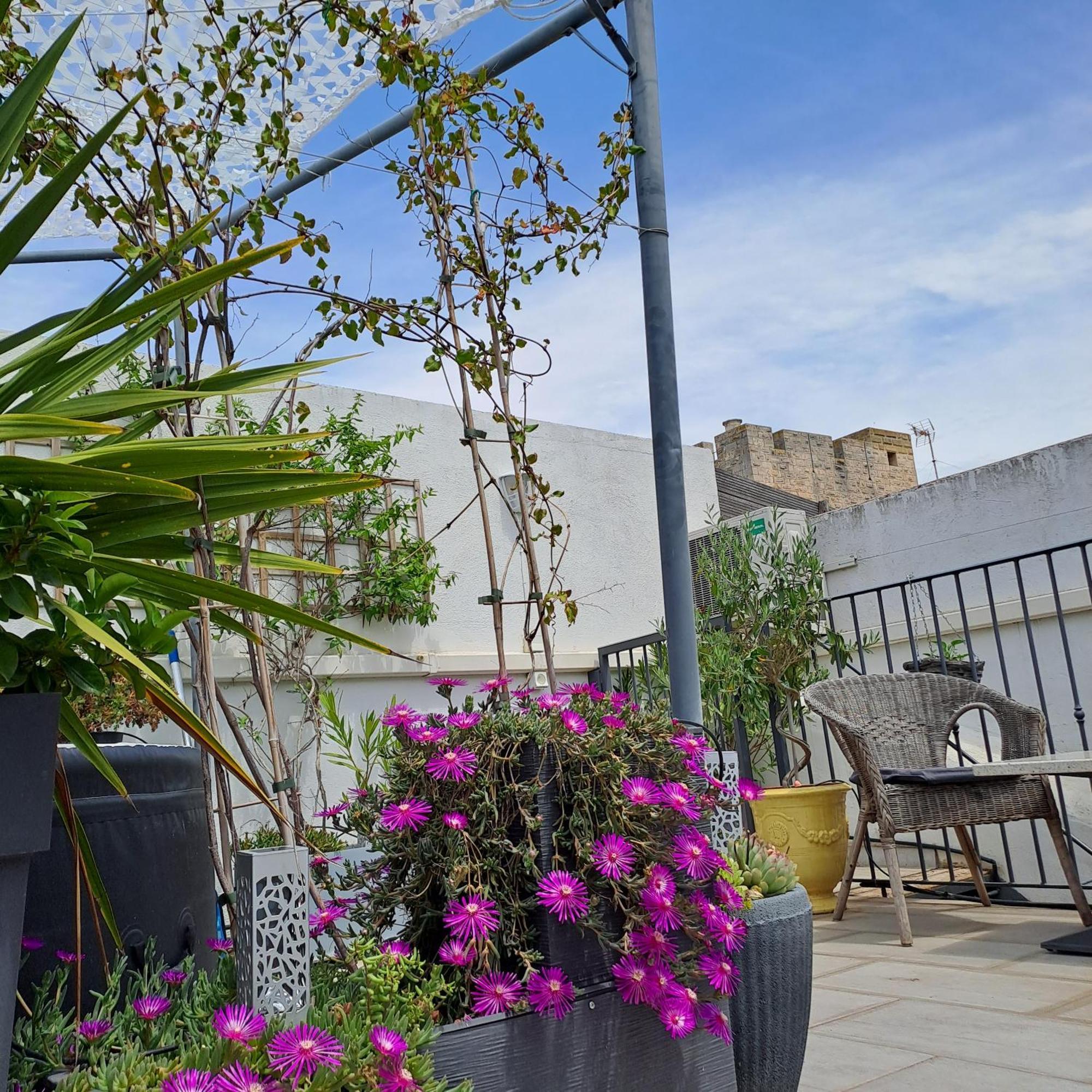 Le Petit Patio Bed & Breakfast Aigues-Mortes Bagian luar foto