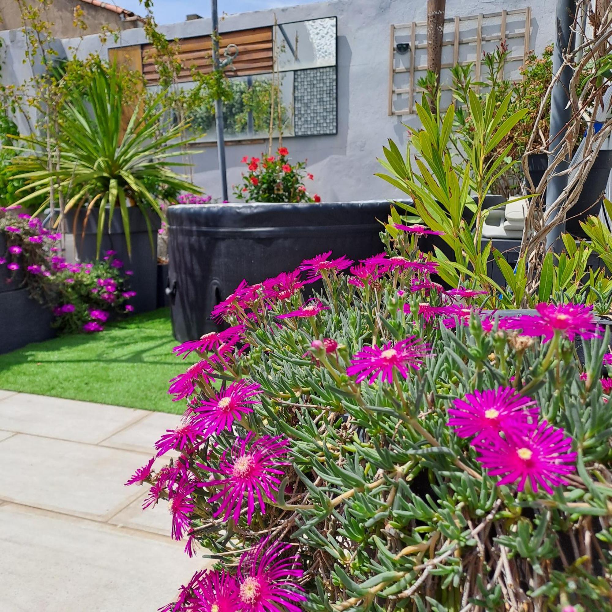 Le Petit Patio Bed & Breakfast Aigues-Mortes Bagian luar foto